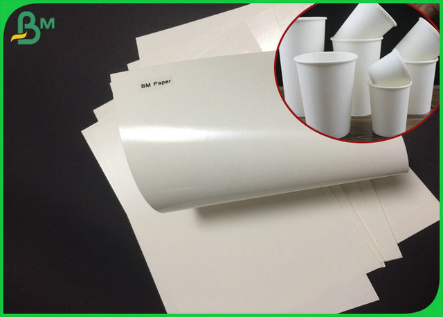 ECO 210 230 Grammagesのコップの基礎板紙表紙は紙コップのためのポリエチレンに塗った