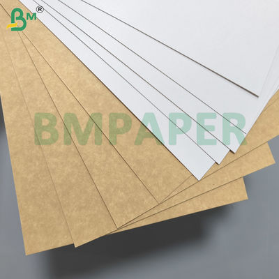 White Top Sheet Kraft Back Carton Board Food Directly White Top Kraftliner