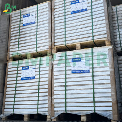 210gsm/230gsm 31*43インチ 両面コート光沢アート紙ロール