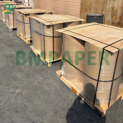 冷凍耐性 熱紙 冷凍防止 冷蔵庫と屋外用