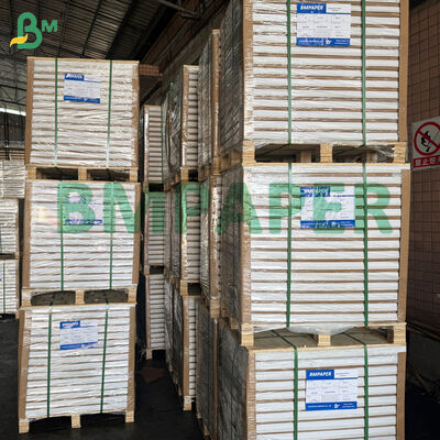 カーボンレスベース用紙 マルチカラー CF CFB CB デュプリケートフォーム用