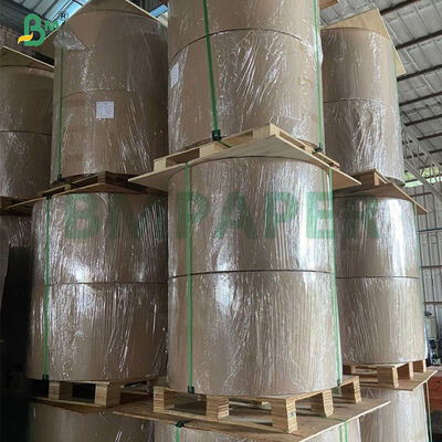 56g アンチウォーター ワックス コーティング 紙 マンゴー フルーツ カバー 成長 バッグ