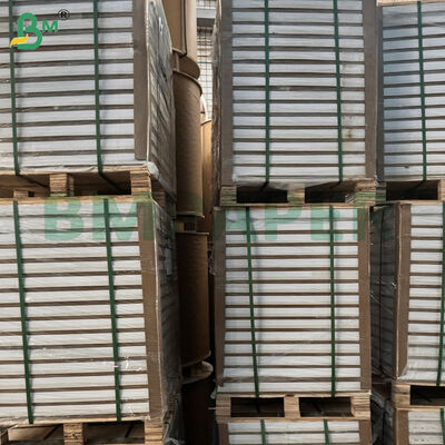 100/180/200gsm 両面コートグロスC2Sアート紙シート