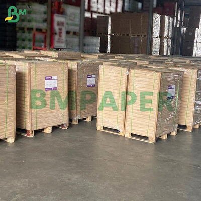 ノン・スティック・パーチメントペーパー（エアフライヤー、スチーマー、オーブン用、ホワイト＆ナチュラル）