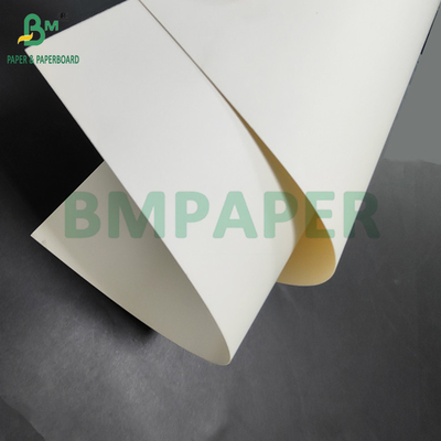 300gm + 15g PEコーティング食品用紙 ランチ容器用 700 x 1000mm