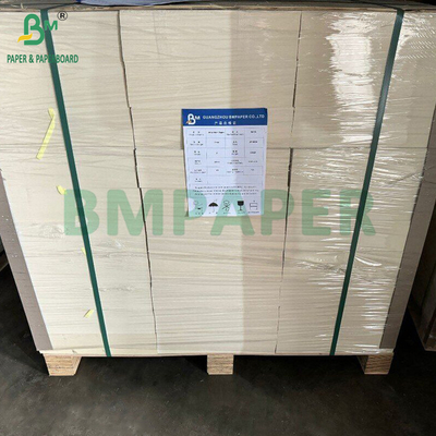 300gm + 15g PEコーティング食品用紙 ランチ容器用 700 x 1000mm