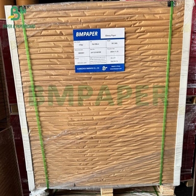 250gm グランシーコーティング紙 61x96cm 70x100cm 巻く 250シート 白いソファー C2S アート紙