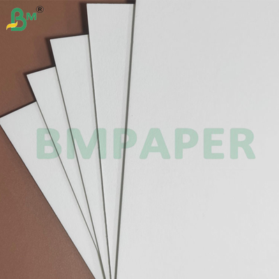 1mm 高水吸収率 ローバー用吸水紙