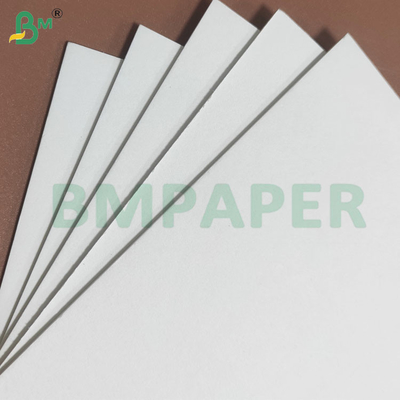 1mm 高水吸収率 ローバー用吸水紙
