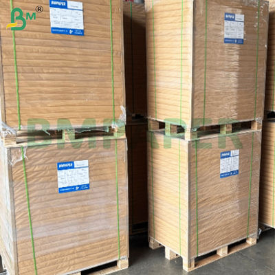 片面PEコーティング 240gsm+10gsm 防漏カップ原紙