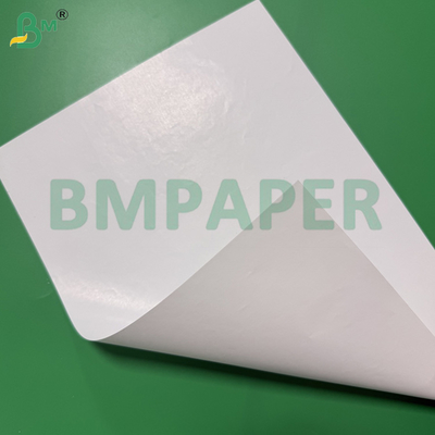 65 - 80gsm 高湿強度白色紙 飲料包装容器用 片面塗工ビールラベル用紙