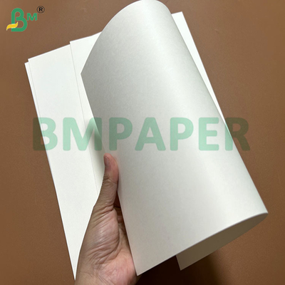 240g + 15PE 油性食品容器用紙 紙碗 61 x 86cm 製造用