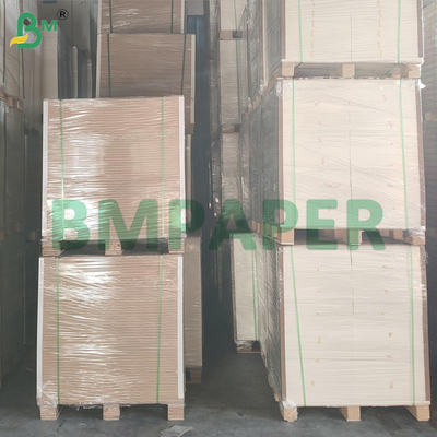 優れた味の抽出 50gm 100gm 漂白されたコーヒーフィルターベース紙