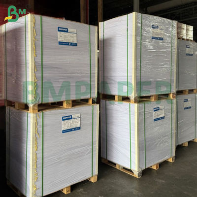 300gsm スーパーホワイト ブリストルボード 無地 スムースサーフェス 中性紙 19 x 24"