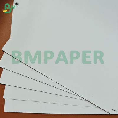 250 Gsm One Side Coated Blister White Cardboard for Packaging