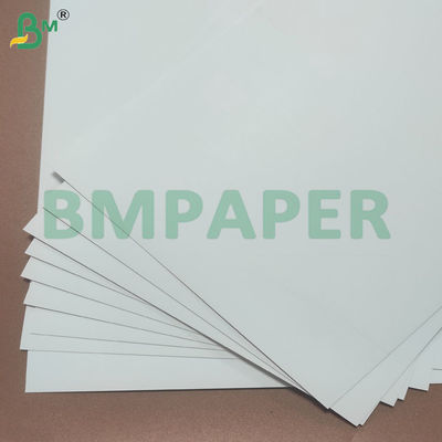 300+10gsm Leak Resistant One Side PE Coated Cup Stock Paper Sheets
