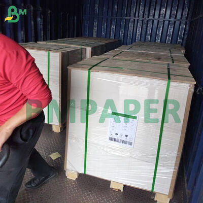 無塗工コースターボード 390gsm 455 X 650mm テーブルマット、ケーキベース用