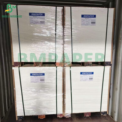 高GSM印刷可能パルプボード 0.6mm 0.8mm厚 自然白吸水ブロッター紙 ビールコースター用