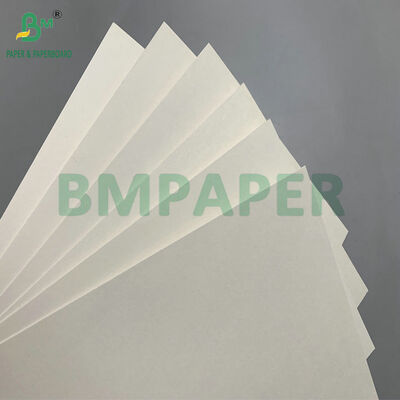 プレミアム品質 スムーズ 防水 310gm ブルーコア ポーカー用カード