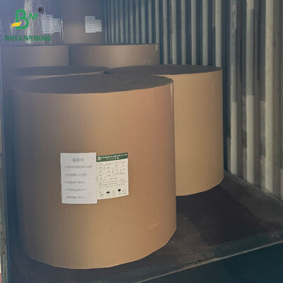 冷凍食品包装箱用 18PT 24PT PEコートCCNБ紙ボード