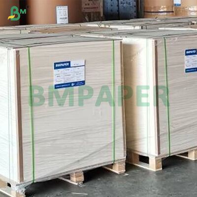 315g + 15g 食品グレードPETコート白板紙（フードプレート用）