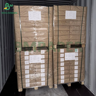 350gsm 400gsm 片面コーティング 熱成形用白ボール紙 ブリスターパック用 70 x 100cm