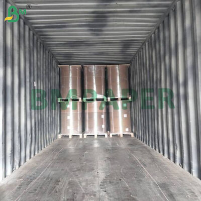 透明着色食品包装纸 23gsm 烘焙/芝士蛋糕衬垫用