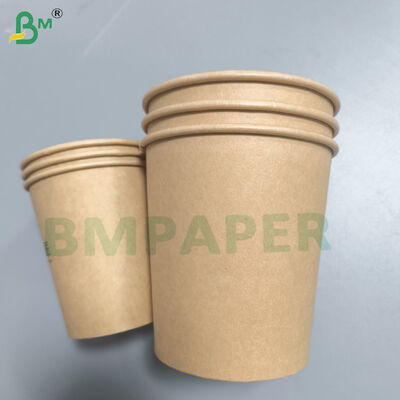 PE PET Coated Food Kraft Paper for Disposable Food Box / Bowl