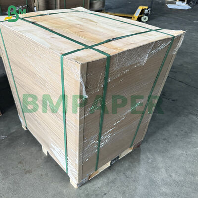 PE PET Coated Food Kraft Paper for Disposable Food Box / Bowl