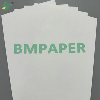 Single Side Coated with Smooth White Surface 300gsm Coated White Back Kraft Paper for High-Quality Printing Frozen Food Cartons