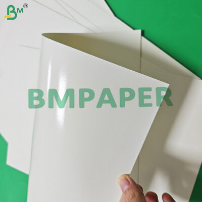 食品安全 170-320gsm + 15g PE カップストック紙 ホットドリンク用 漏れ防止 870mm