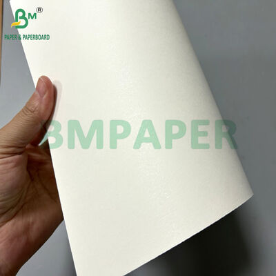 70 x 100cmの170-320gsm白無地押出PEカップストック紙