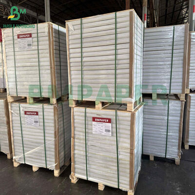 1.6mm 1.7mm 1.8mm 純パルプ 白 吸水紙 カップ コースター用 66 x 106cm